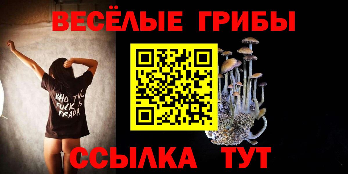 Псилоцибиновые грибы MAGIC MUSHROOMS Чусовой